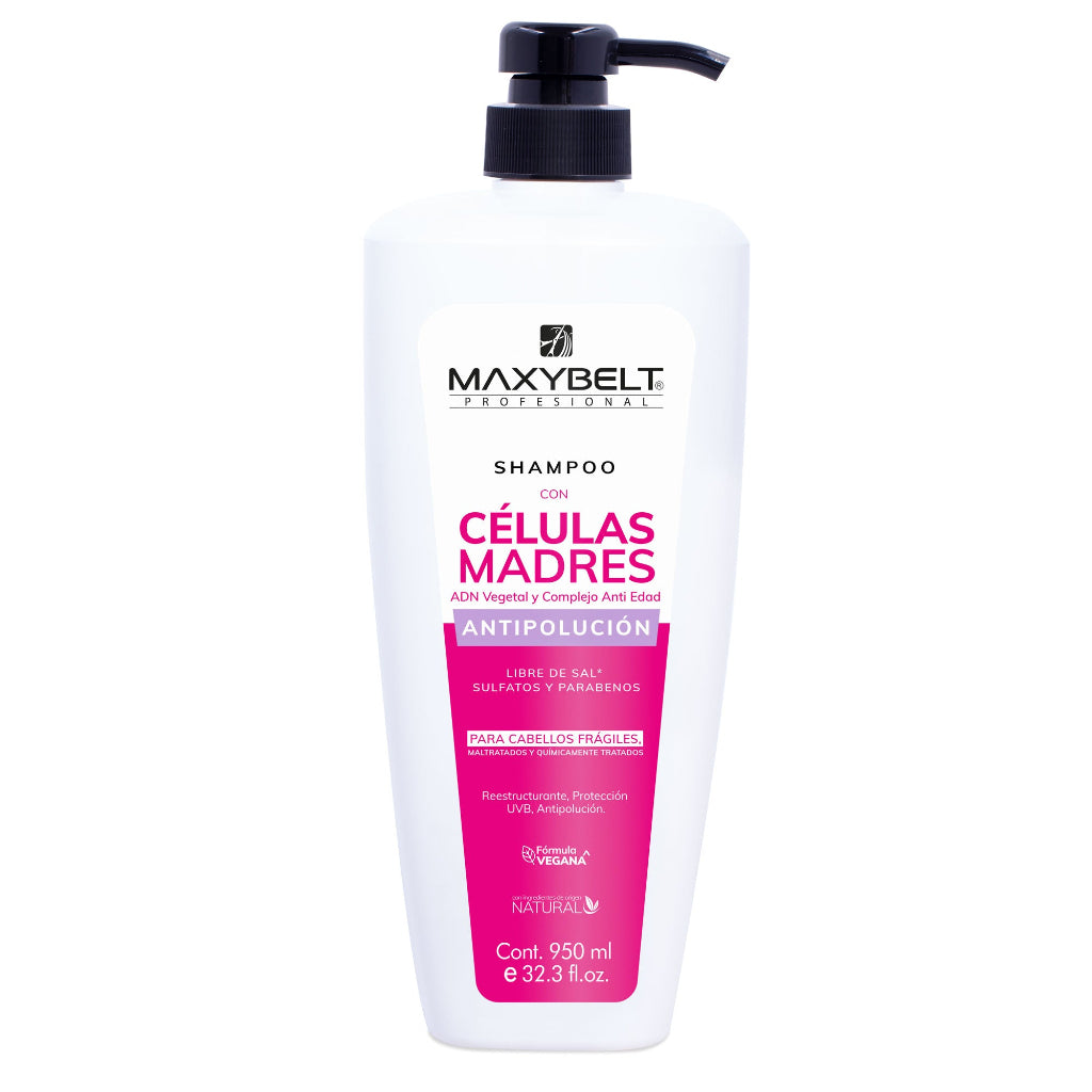 Shampoo Células Madre Regeneración 950ml Maxybelt