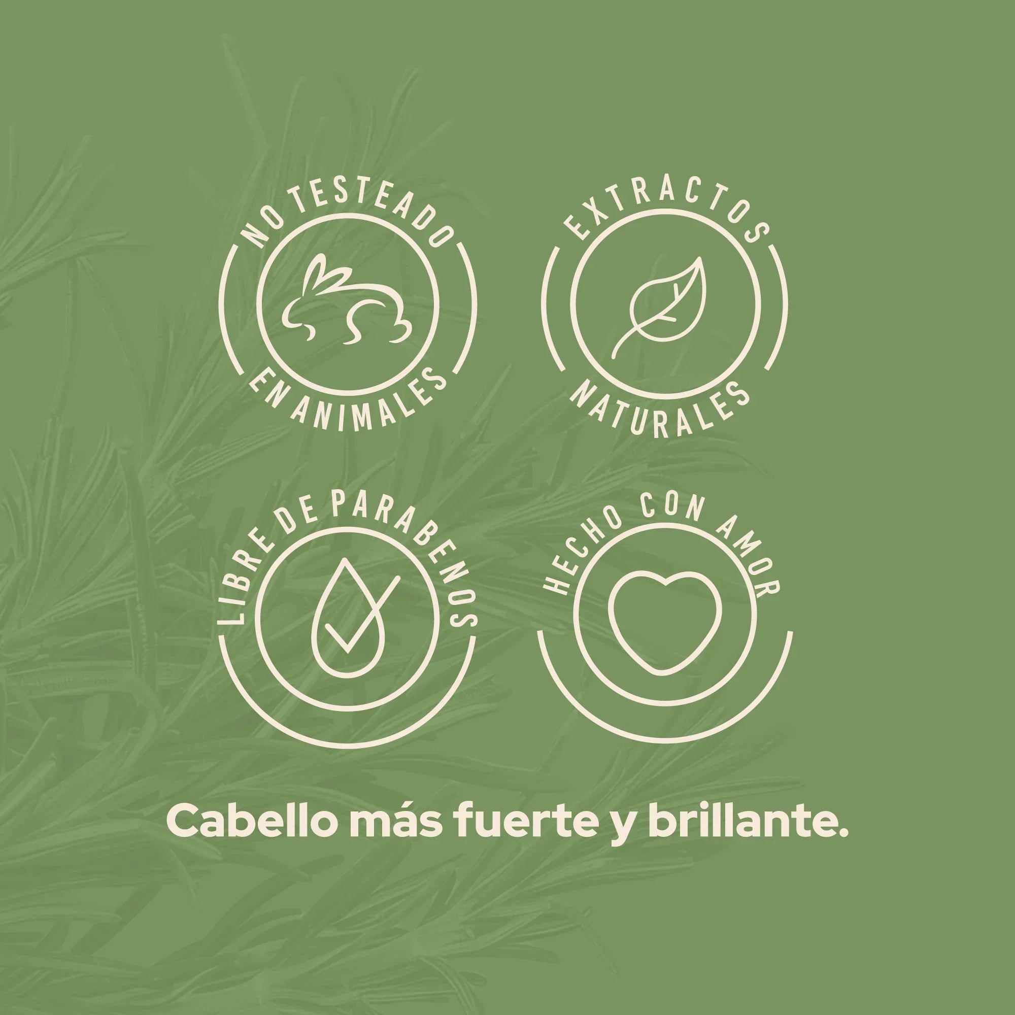 Acondicionador Fortalecedor de Romero Anyeluz 500 ml