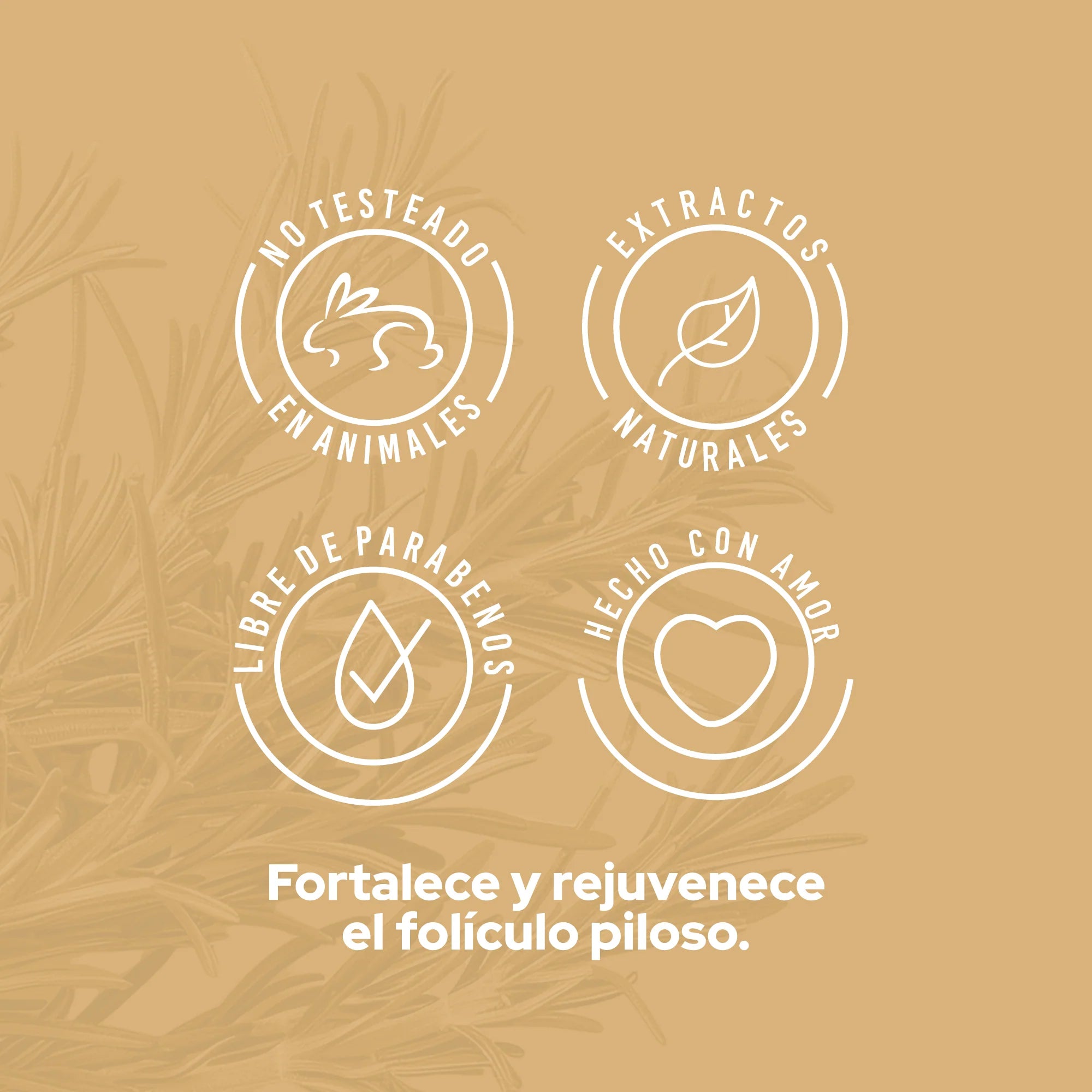 Potencializador Capilar de Romero Anyeluz 110 ml