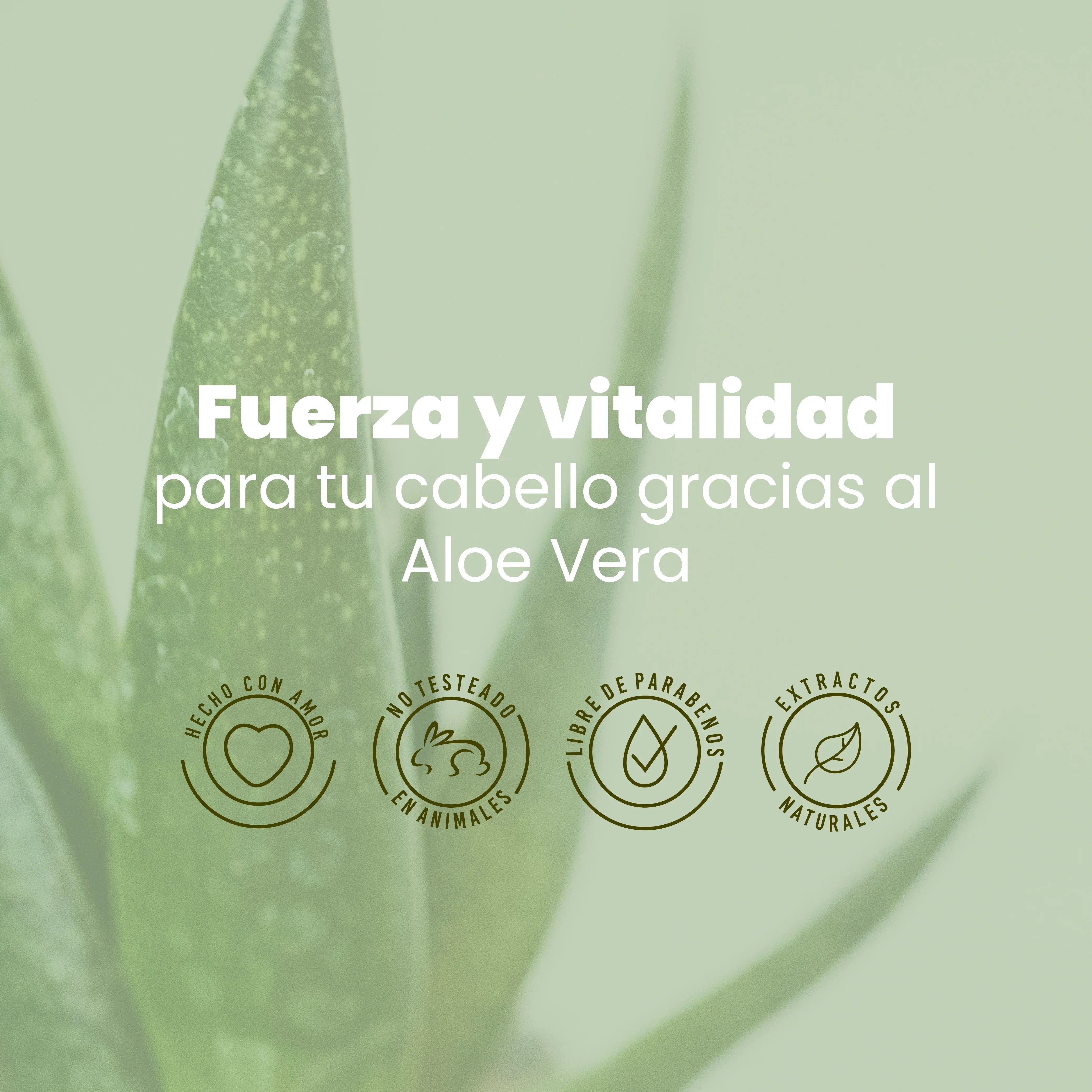 Shampoo Hidratante de Aloe Vera Anyeluz 500 ml
