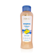 Shampoo Reparador con Gusano de Seda Anyeluz 500 ml